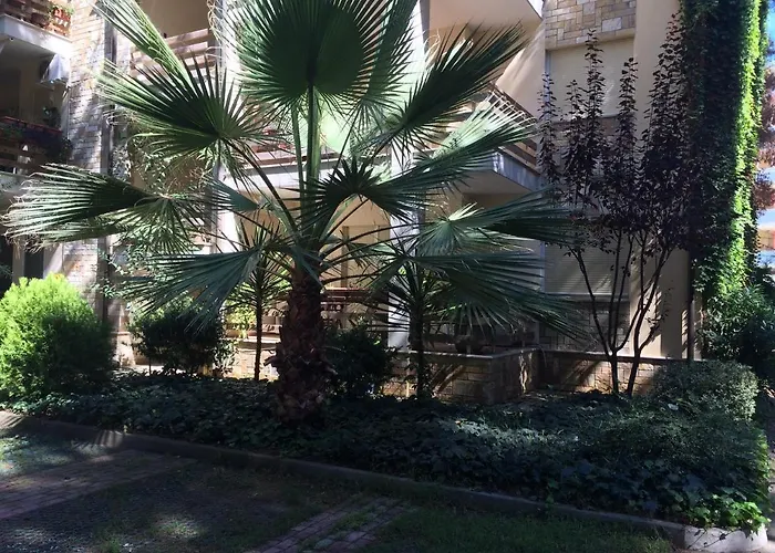 Eurocoli Rezidence Golem (Tirana)